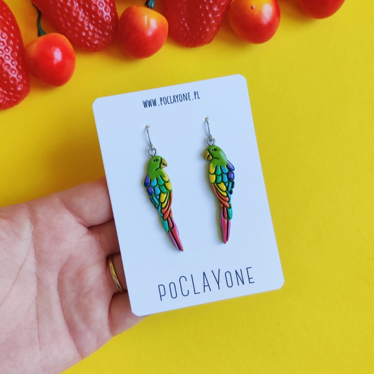kolorowe-kolczyki-papugi.jpg